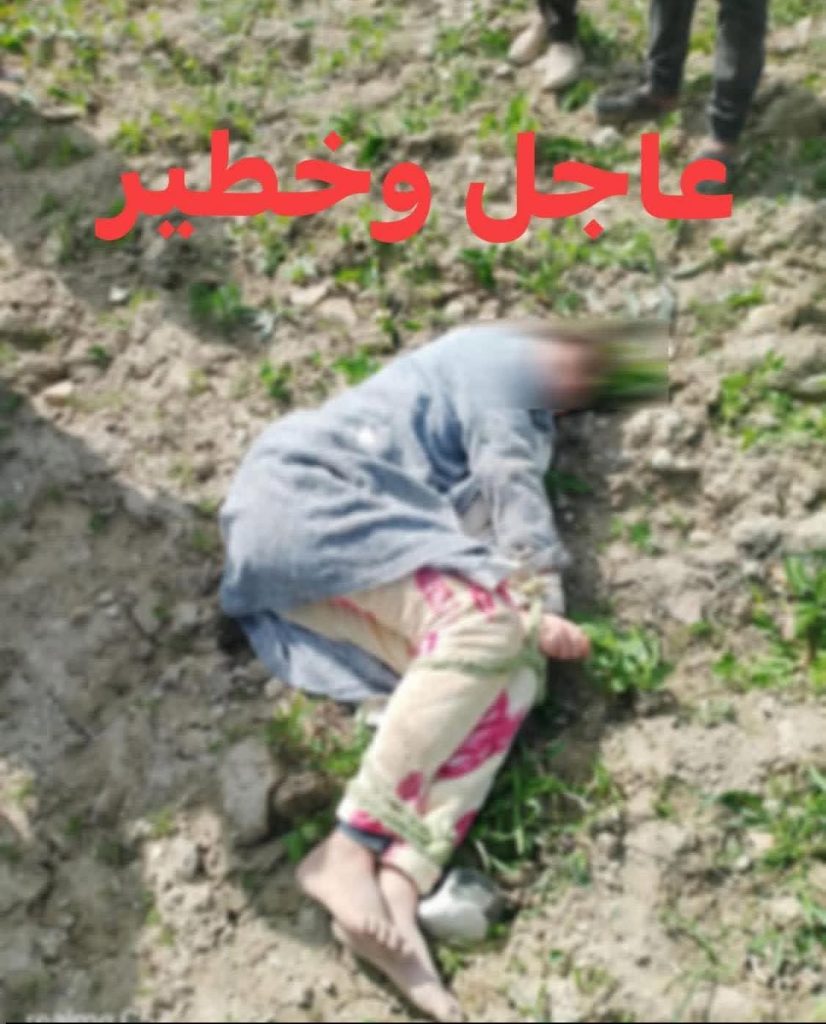 a7d3834b-815f-4f5b-b123-8df4a2372b0f